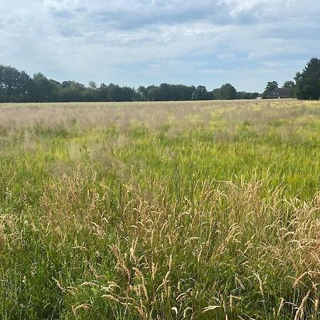 Apartament Kunst Und Natur In Worpswede Zewnętrze zdjęcie