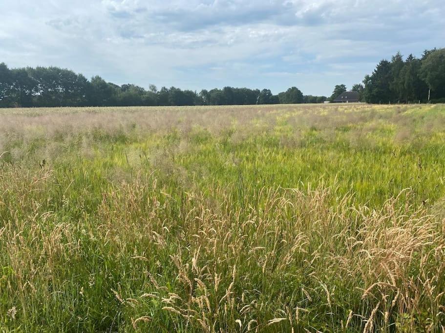 Apartament Kunst Und Natur In Worpswede Zewnętrze zdjęcie