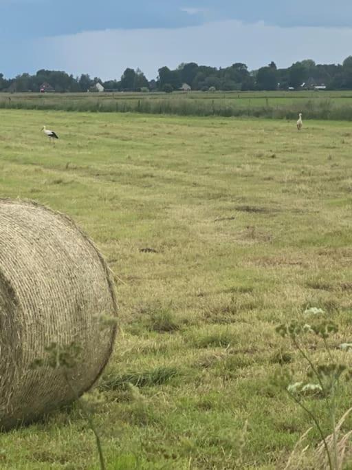 Apartament Kunst Und Natur In Worpswede Zewnętrze zdjęcie
